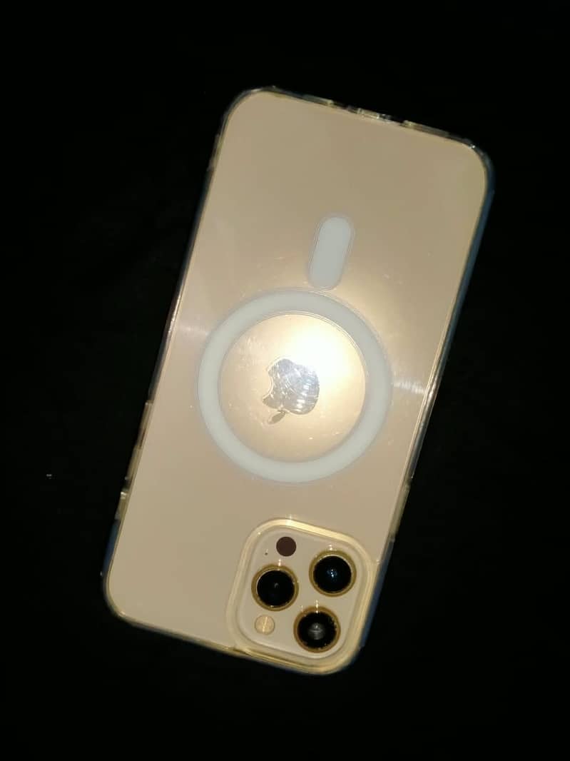 Apple iPhone 12 Pro Max 10