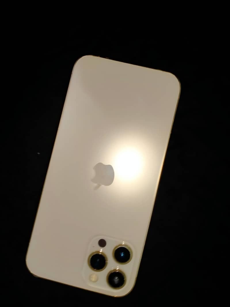 Apple iPhone 12 Pro Max 12