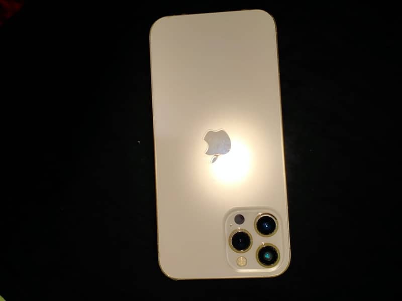 Apple iPhone 12 Pro Max 14