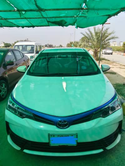 Toyota Corolla GLI 2020 (0323-4951725)