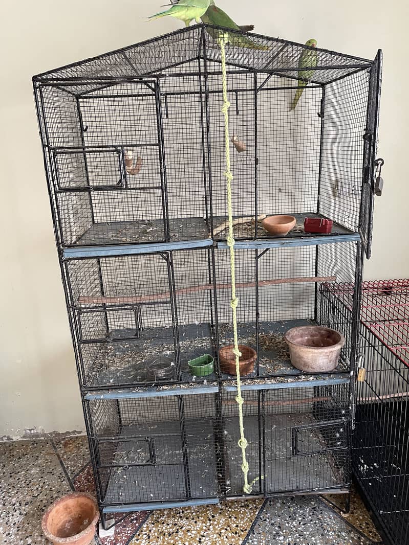 6 portion cage 0