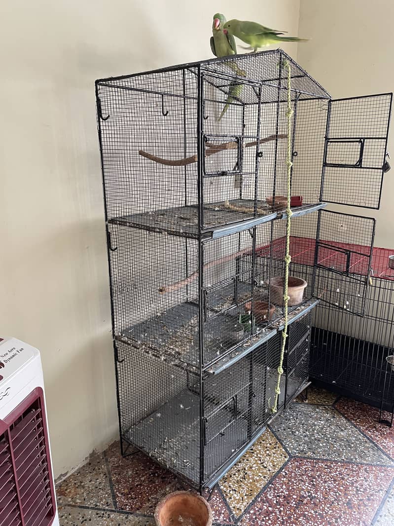 6 portion cage 1