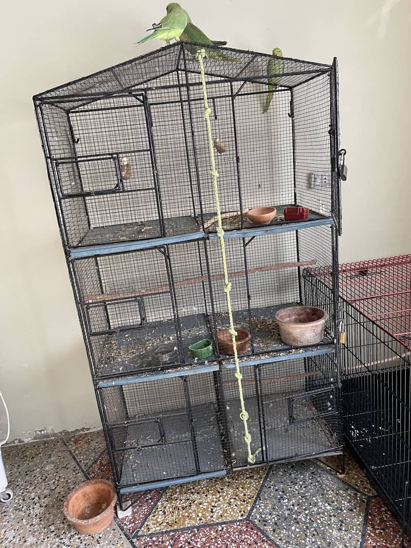 6 portion cage 2