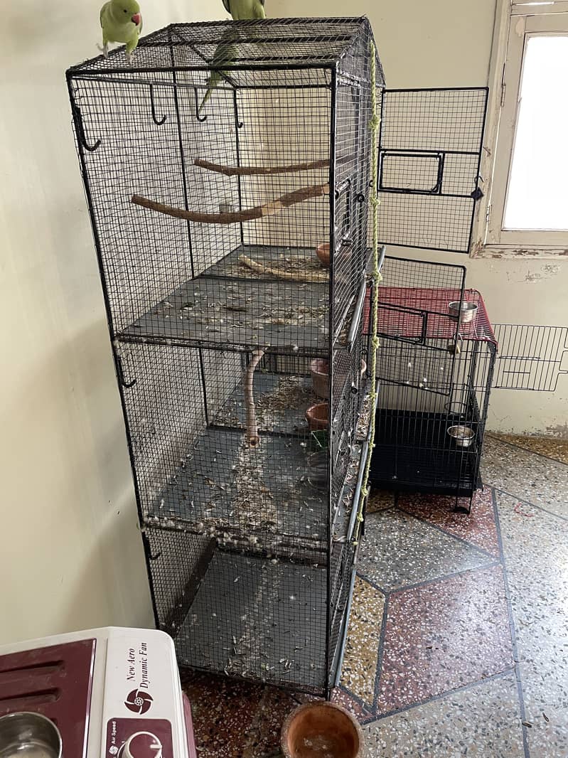 6 portion cage 3