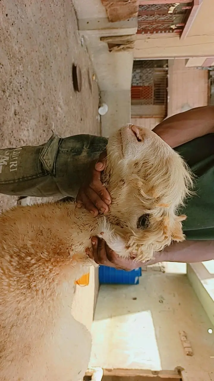 Teddy bakri — photo 12