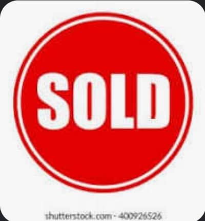 Murghay for sale | golden misri | desi | Astrolop | fayoumi | lohmann.