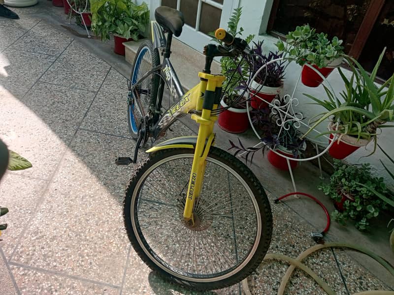 Morgan large cycle 1