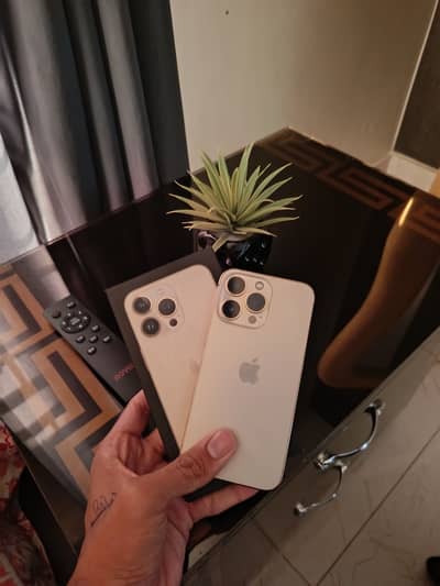 Apple iPhone 13 Pro | PTA