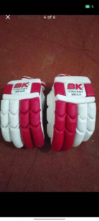 Complete Hard Ball Cricket Kit - Helmet, Pads, Bat, Gloves, Bag