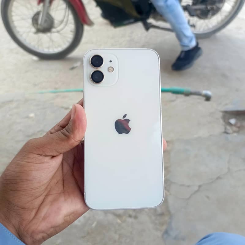 Apple iPhone 12 1