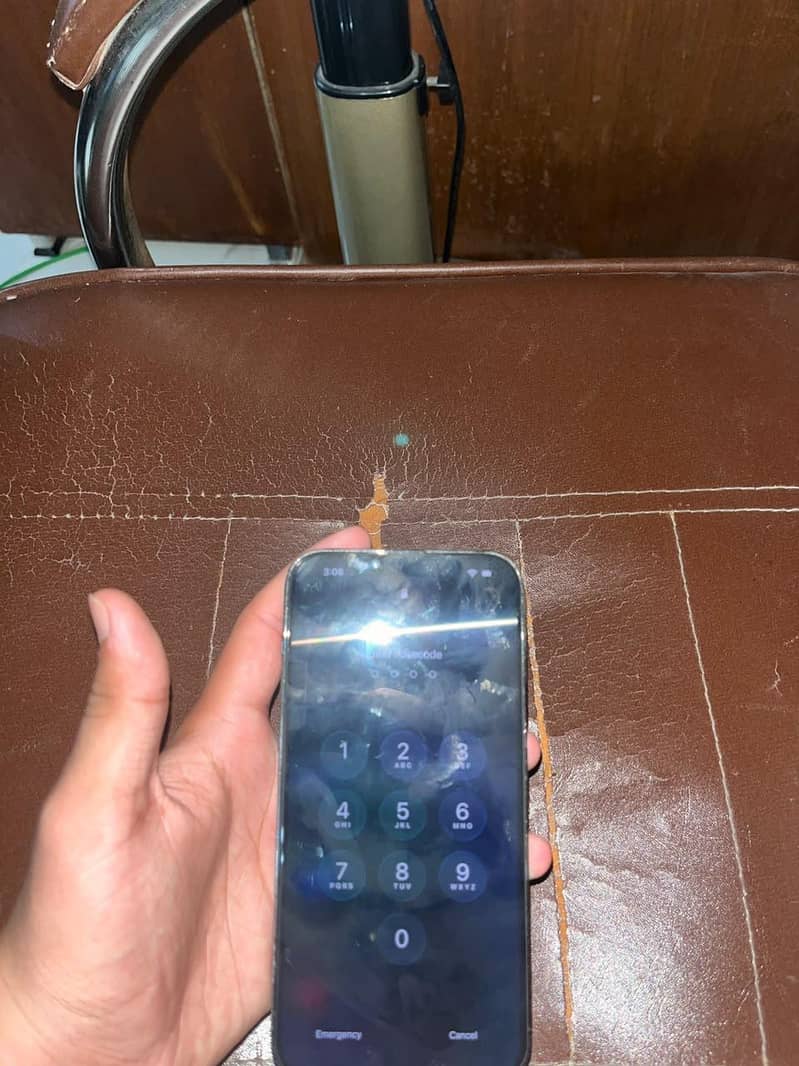 Apple iPhone 13 Pro Max 2