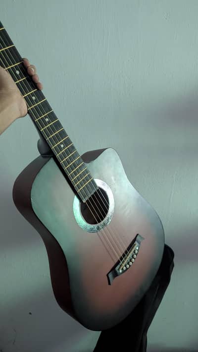 professional guitar
