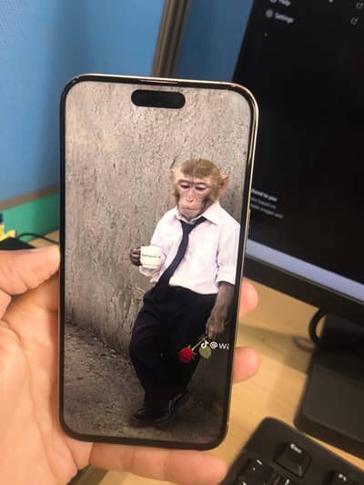 Apple iPhone 15 Pro Max 256Gb