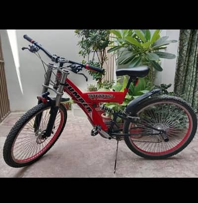Mountain bike