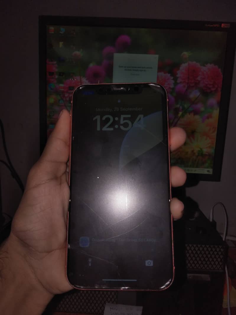 iphone xr 2