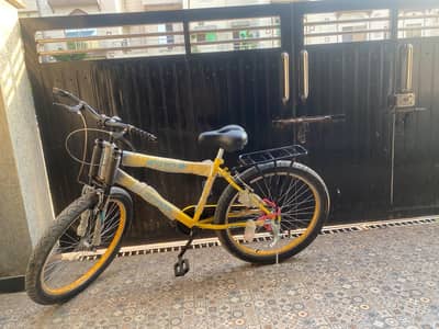 FOR SALE