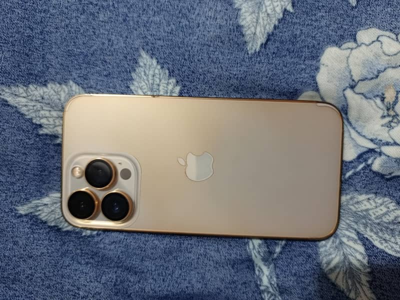 Apple iPhone 13 Pro 0