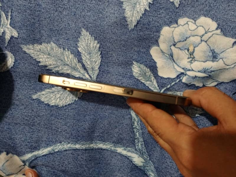 Apple iPhone 13 Pro 1