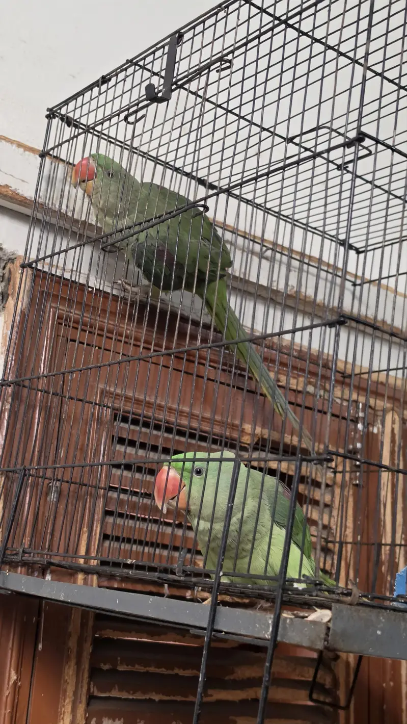 urgent sell — photo 4