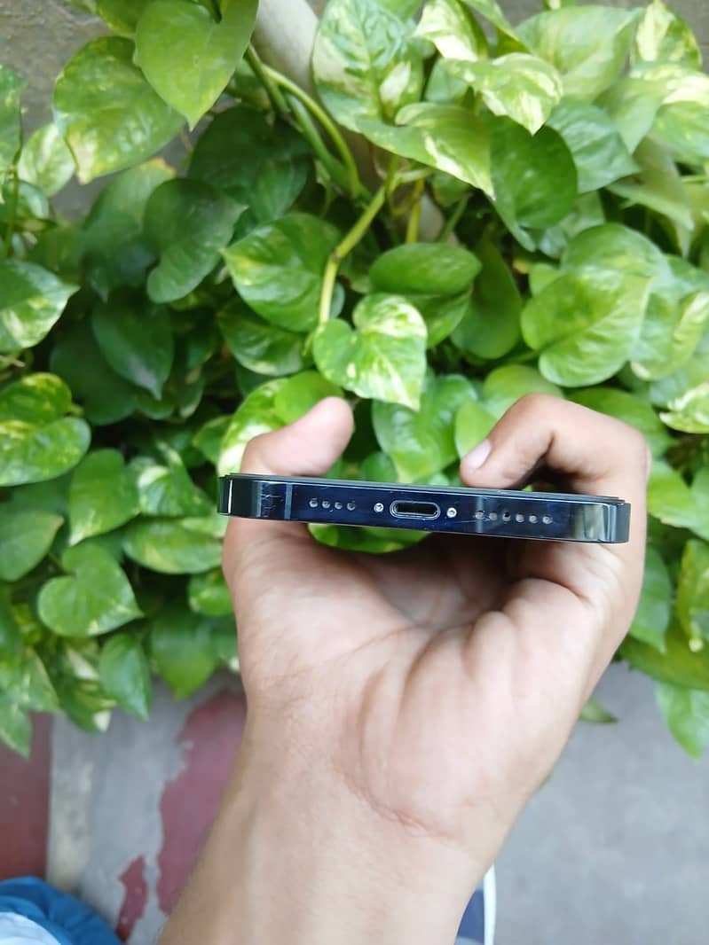 Apple iPhone 12 Pro Max 03079639/230 whatsap 3