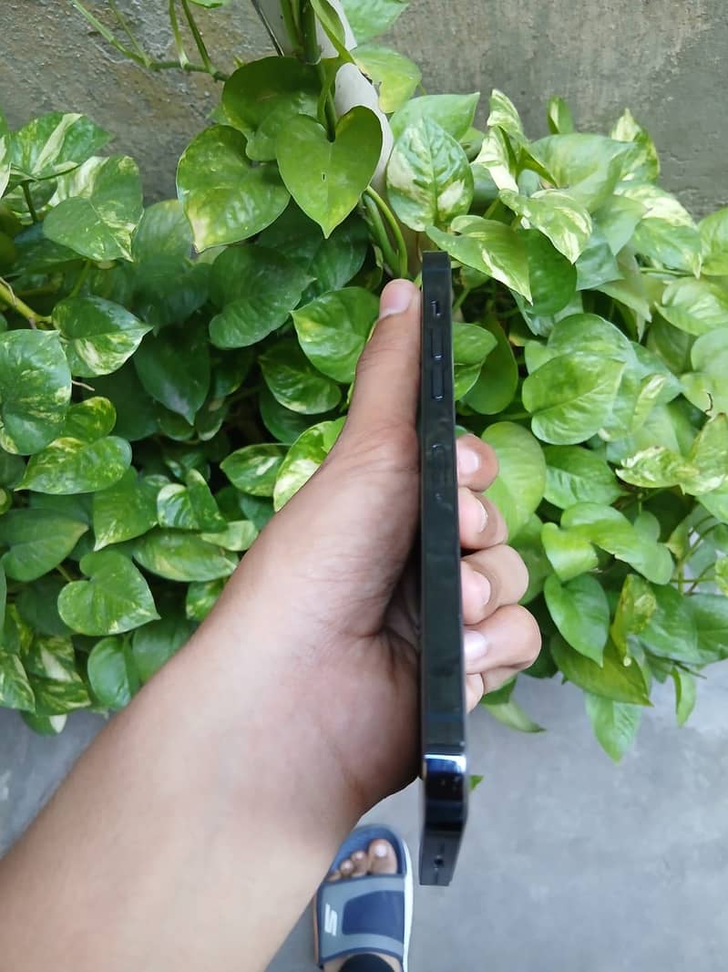 Apple iPhone 12 Pro Max 03079639/230 whatsap 4