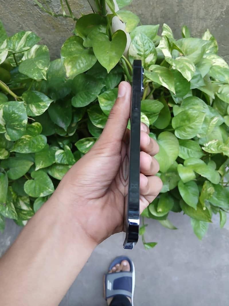 Apple iPhone 12 Pro Max 03079639/230 whatsap 5