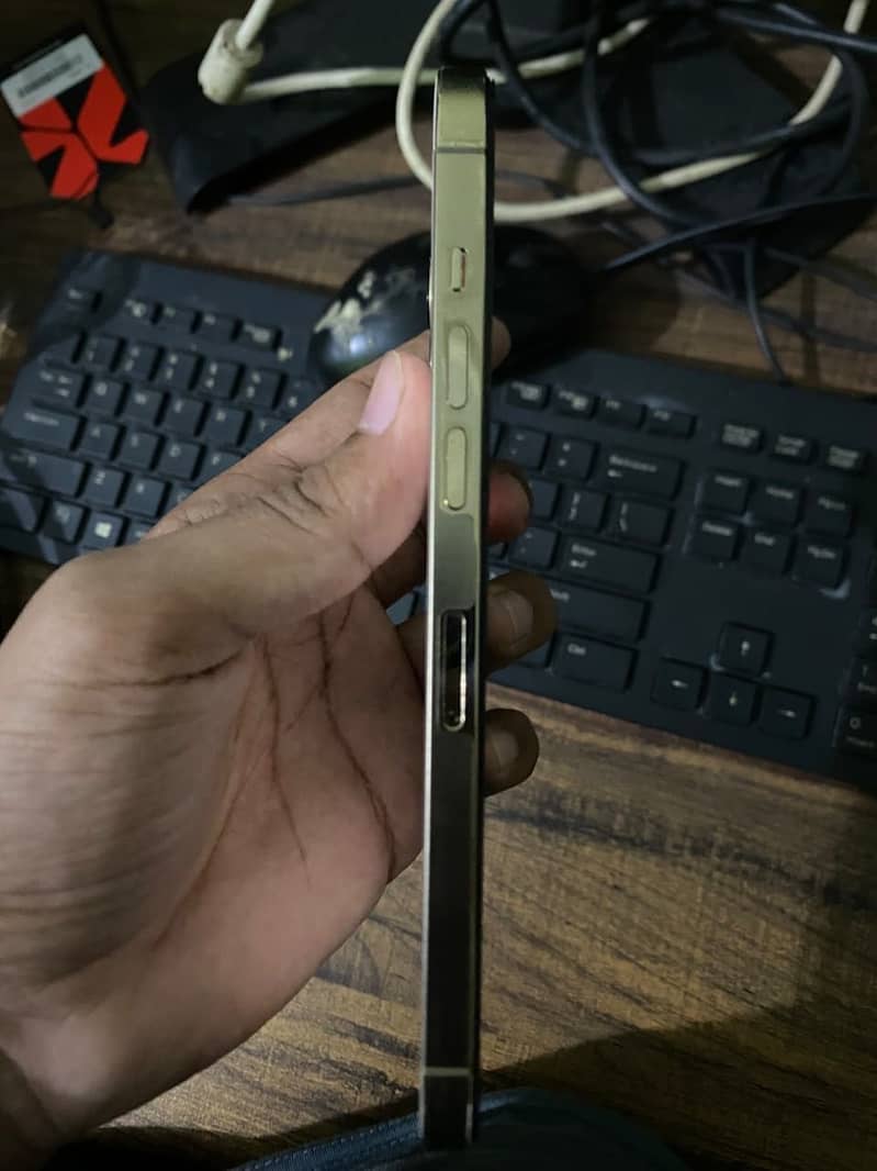 Apple iPhone 12 Pro Max 1