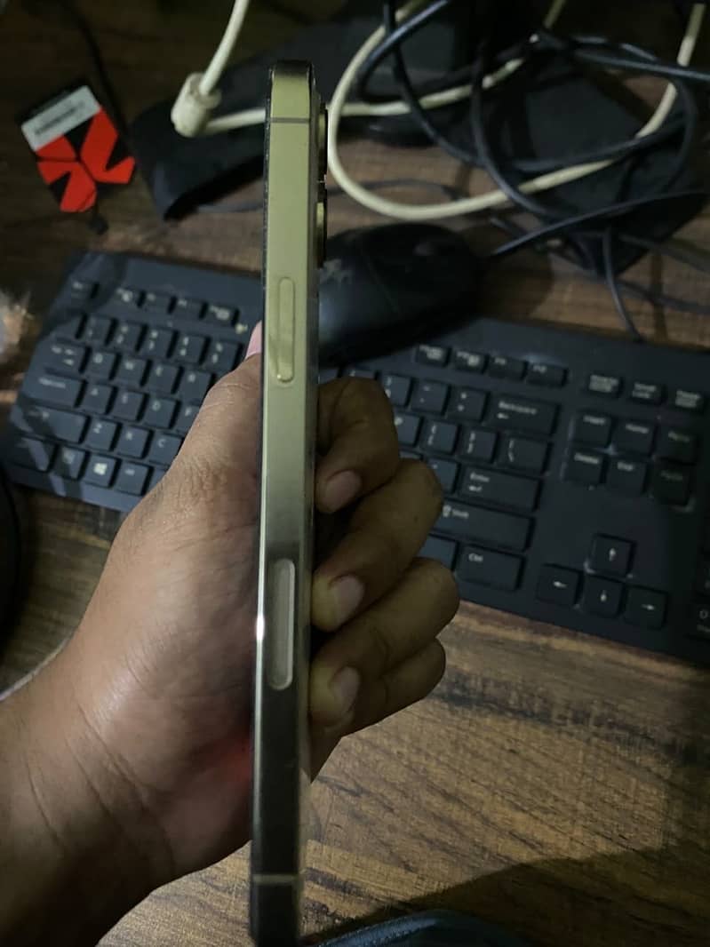 Apple iPhone 12 Pro Max 2