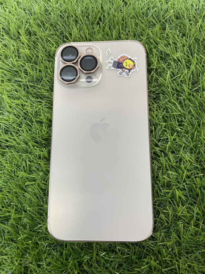 Apple iPhone 13 Pro Max 0