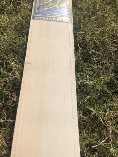 Cricket Bat