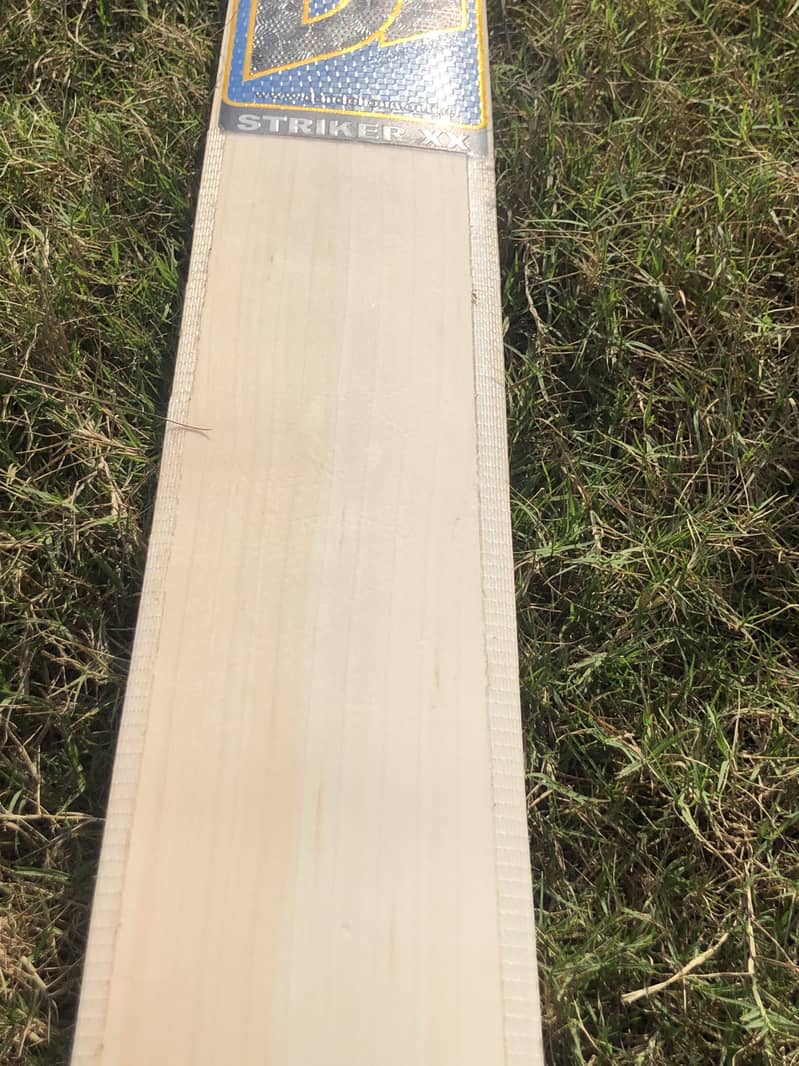 Cricket Bat 0