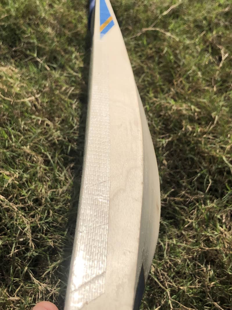 Cricket Bat 1