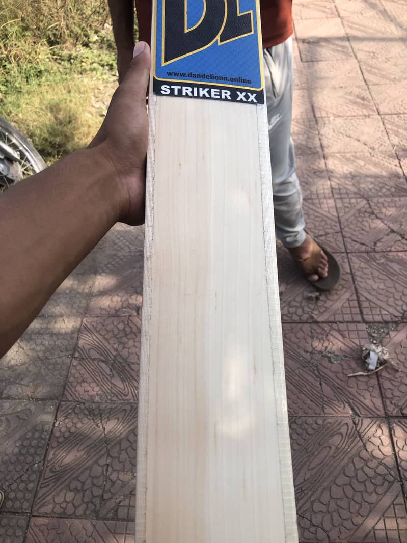 Cricket Bat 3