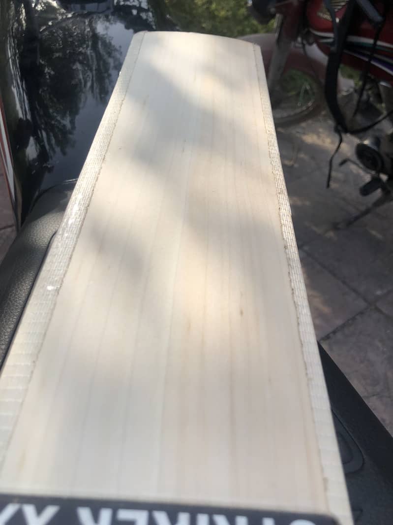 Cricket Bat 4