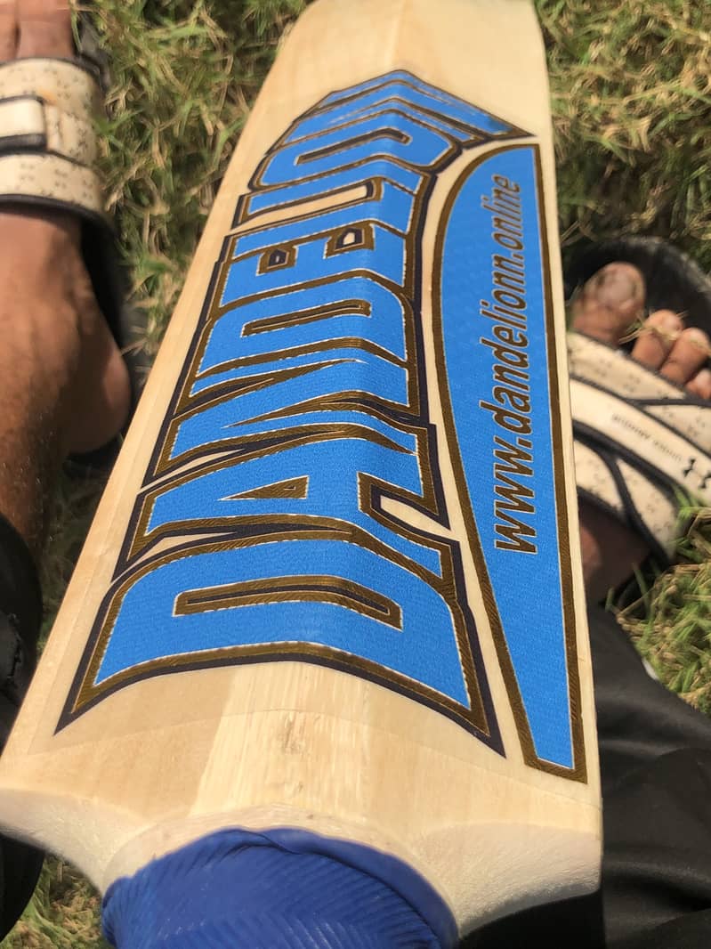 Cricket Bat 6