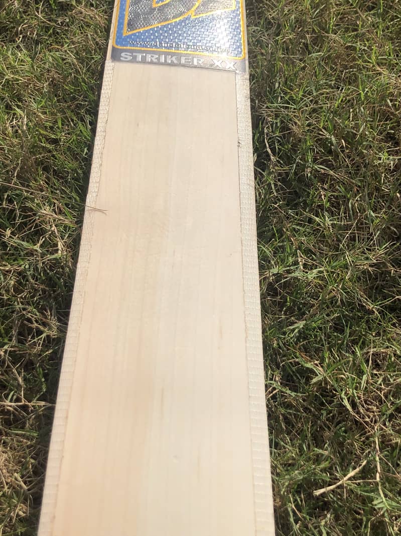 Cricket Bat 7