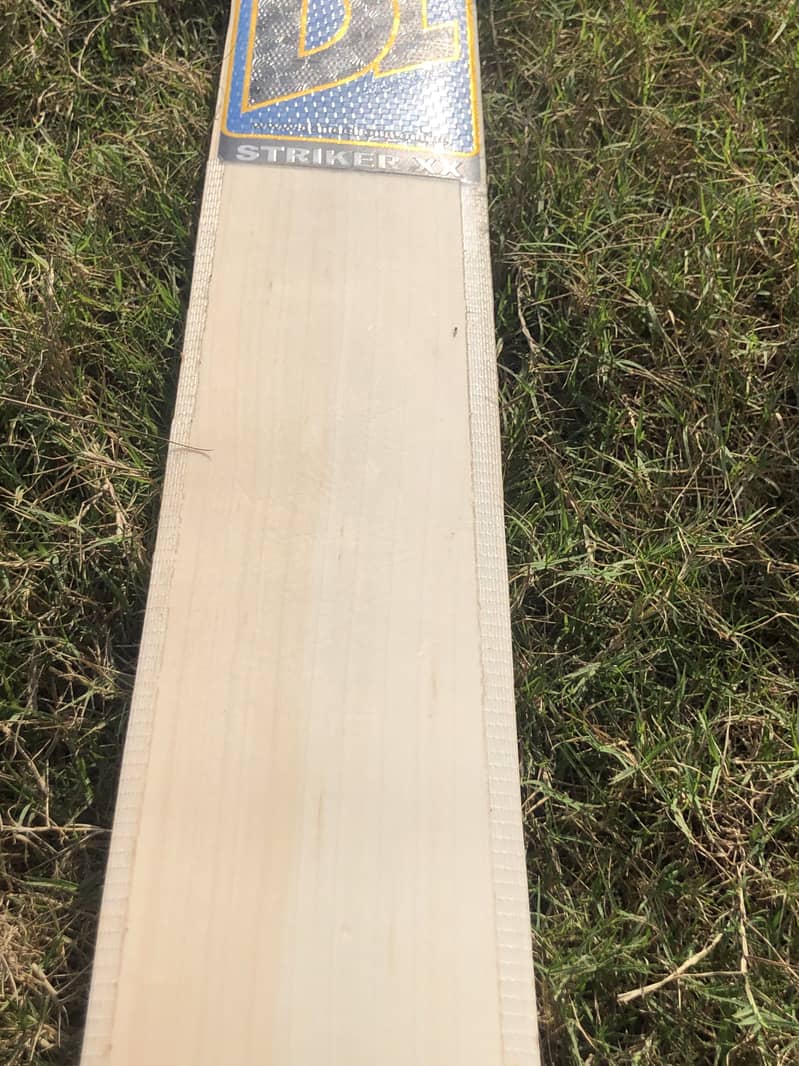 Cricket Bat 8