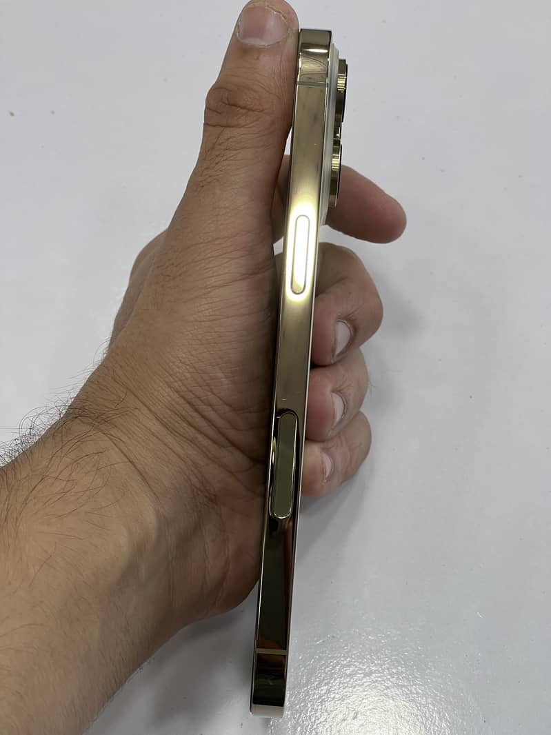 Apple iPhone 14 Pro Max 1