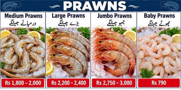 Prawns-Tiger Prawns-(Size Jumbo-Large-Medium-Small)