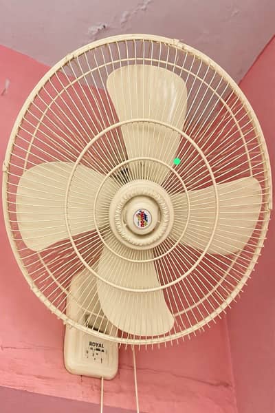 Original Copper Large Size Royal Fan