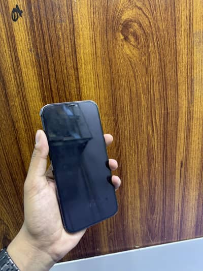 Apple iPhone 12 Pro Max