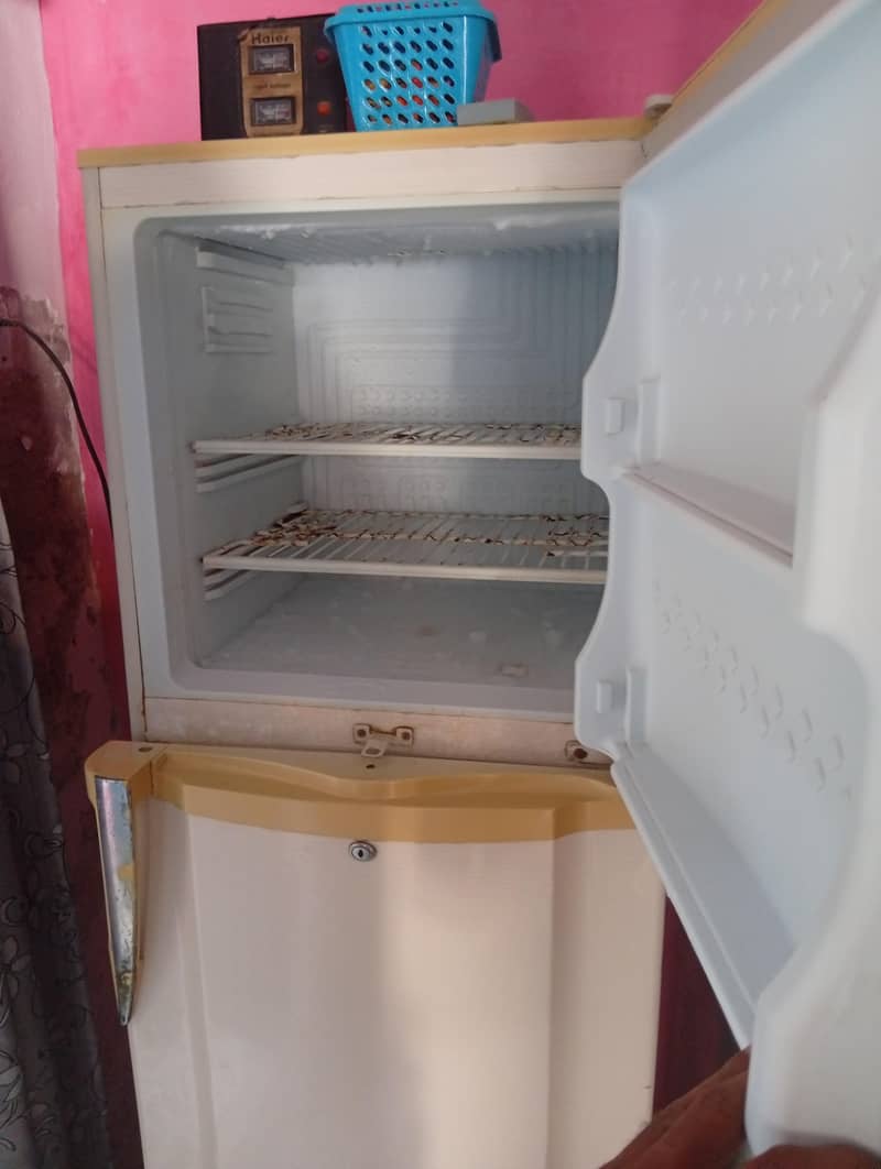 fridge 1