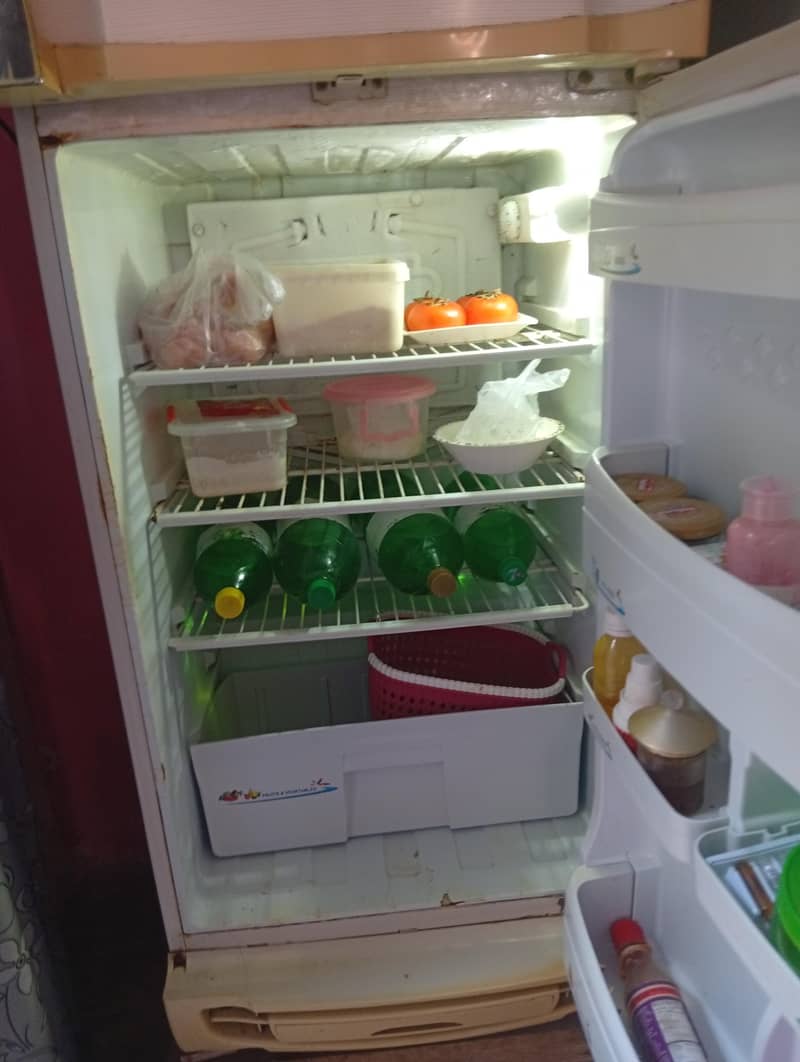 fridge 2