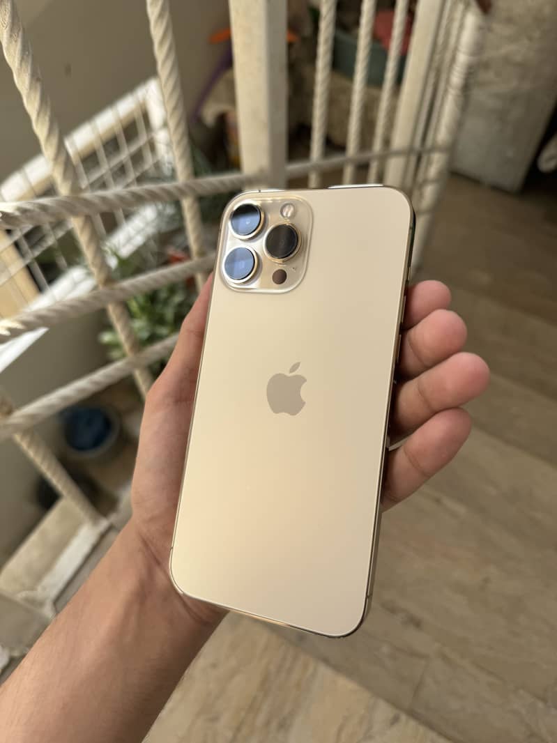 Apple iPhone 13 Pro Max 1