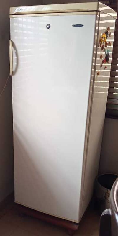 Waves Standing Deep Freezer (12 cubic feet)