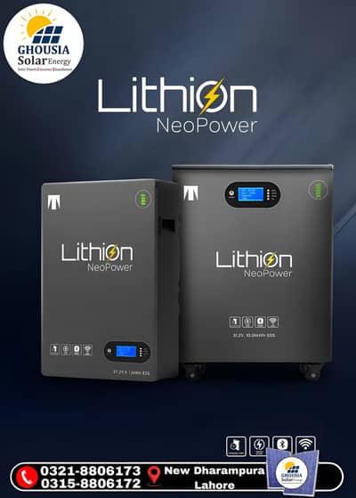 Lithion NeoPower LiFePO4 Lithium Batteries