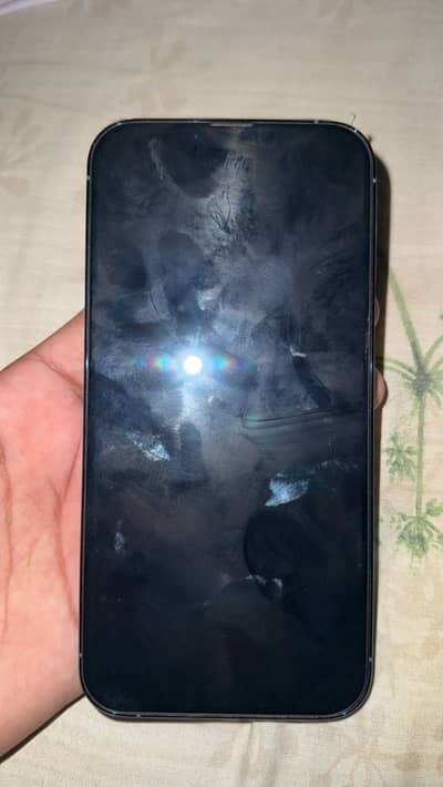 Apple iPhone 13 Pro Max