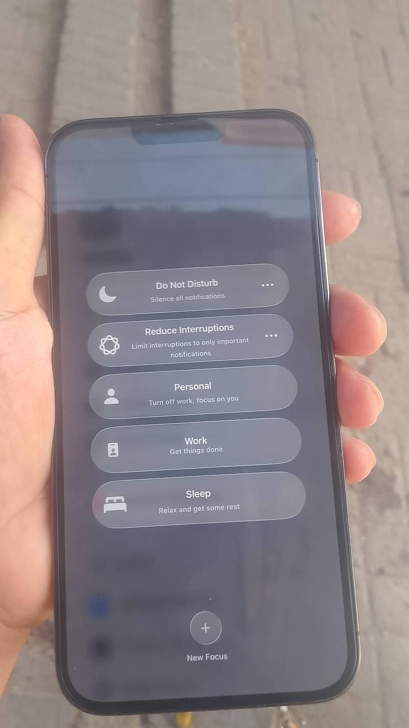 Apple iPhone 13 Pro Max 1