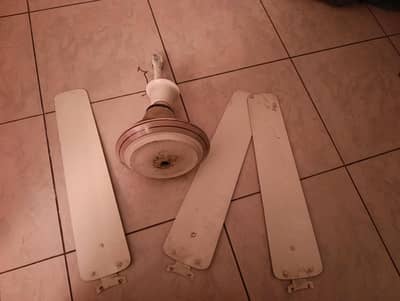 ceiling fan