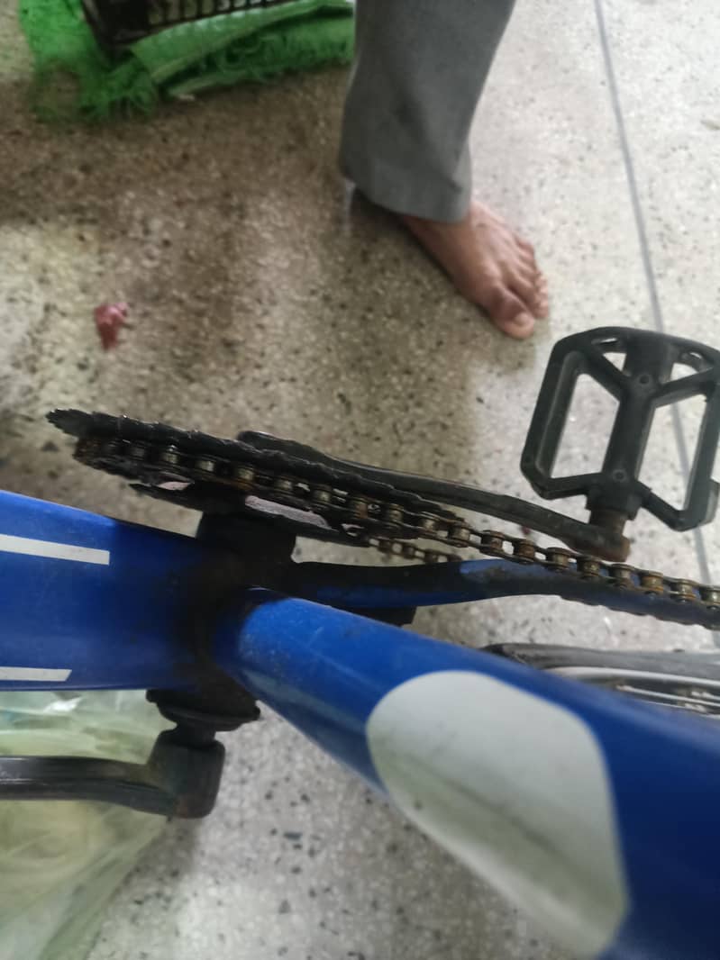 bicycle 1